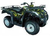 2011 Jialing ATV photo